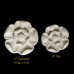 FLR-01: Multi Corola Rosette Flower